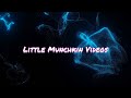 Welcome to Little Munchkin Videos