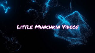 Welcome to Little Munchkin Videos