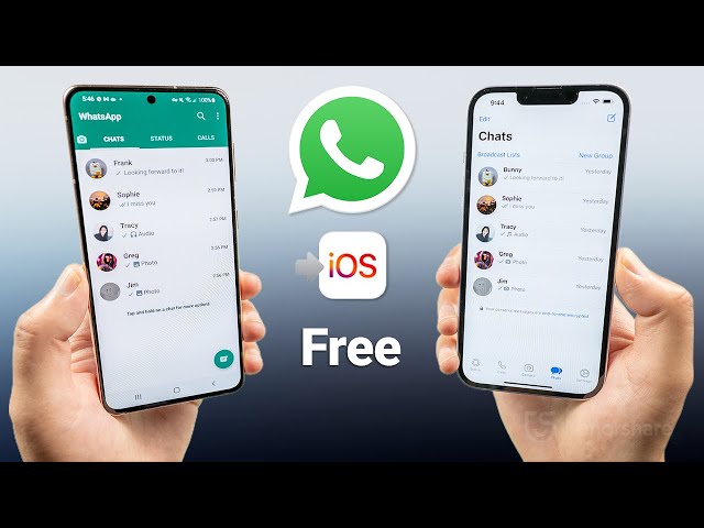 Transfer WhatsApp from Android to iPhone 2024 [Official Free Method] class=