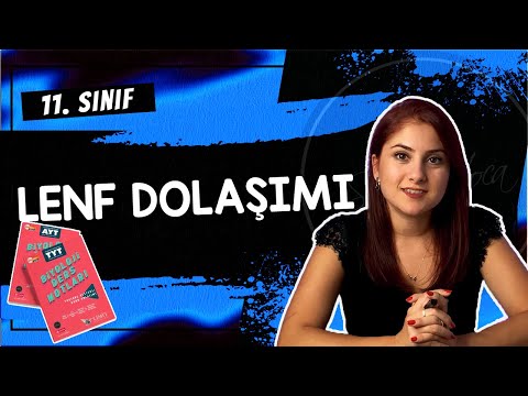 21) LENF DOLAŞIMI - DOLAŞIM SİSTEMİ 5 | 11. SINIF | AYT BİYOLOJİ DERS NOTLARI 2024