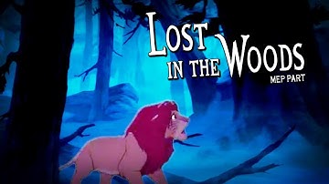 Lost in the Woods (MEP Part)