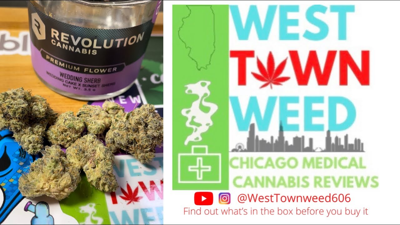 Wedding Sherb by Revolution Review