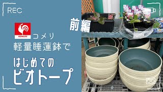 【めだか】コメリの睡蓮鉢で初心者のベランダビオトープ/前編