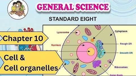 Class 8 | Science | Chapter 10 | Cell & Cell organelles | Maharashtra board 