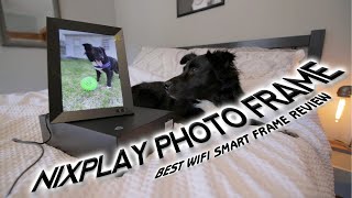 Best Digital Photo Frame 2020: Nixplay 10.1" Smart Photo Frame Review by Talking Border Collie MIx