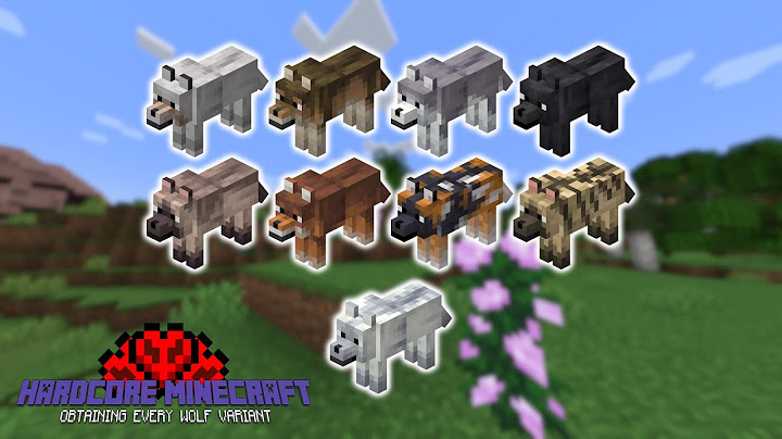 I Collected Every "NEW" Wolf in Minecraft