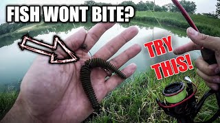 How to Fish the WEIGHTED Wacky Rig (Finesse Tactic for Summer)