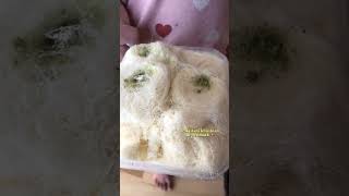 Pakistani Food In Denmark denmark dratufakaleem pakistaniindenmark