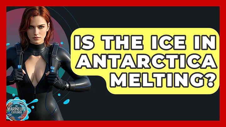 Is The Ice In Antarctica Melting? - The Marine Life Explorer