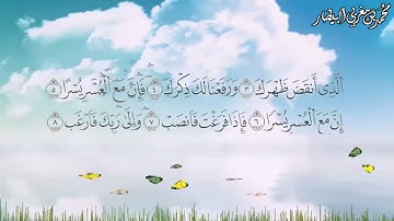 سورة الشرح برواية السوسي عن أبي عمرو البصري - الشيخ محمد بن مغربي البيطار