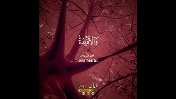 📌قليلا ما تشكرون📌 سورة المؤمنون: ٧٨|المنشاوي|Surah al Mu'minoon:78|Sheikh Minshawi