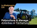 La biodynamie  polyculture  levage  version courte 28