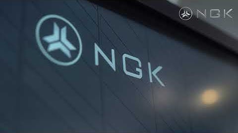 NGK blockchain roadshow video in Silicon Valley