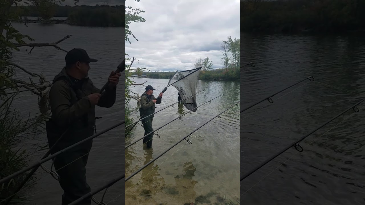 Ed French Open 2019 Paul and Jacob of K1 Baits 