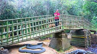 How To Building Bridge With Bamboo & Many Stone - The Bridge Was Completed | Đào Daily Life