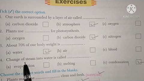 Class 3 Science chapter 2 Air and water (Revision Work)