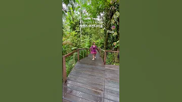 Australia Cairns Shorts Kuranda 케언즈 호주 호주로드 