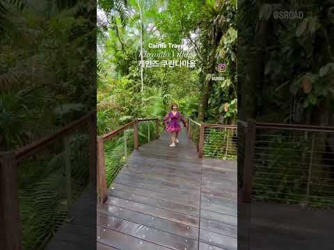 Australia Cairns Shorts Kuranda 케언즈 호주 호주로드