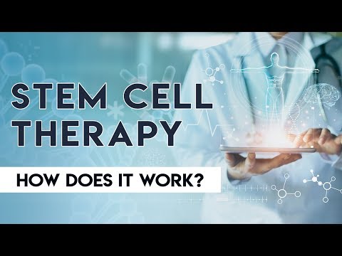 How Are Stem Cells Put Into The Body? How Does Stem Cell Therapy Work?