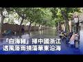 颱風「白海豬」影響台灣後轉向中國浙江，華東沿海出現風雨災情