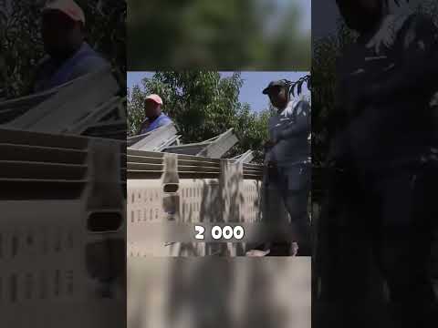 ФЕРМЕР из России выращивает ПЕРСИКИ в Крыму🤥🔥🍑