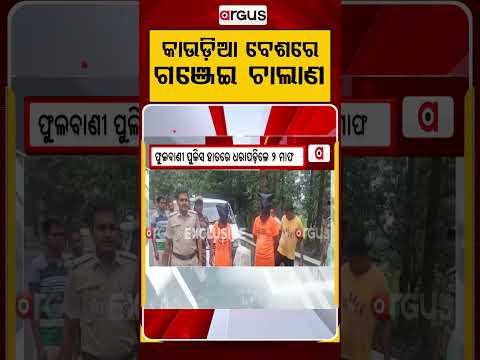 କାଉଡିଆ ବେଶରେ ଗଞ୍ଜେଇ ଚାଲାଣ | Ganja Smuggling | Odisha Police | Crime News | Argus News