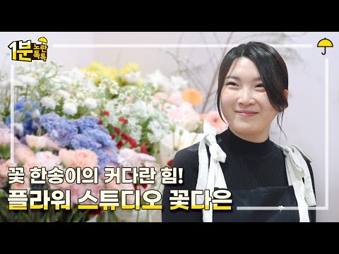 꽃다은