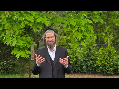 Unlock your full potential with The Possible You! Seminars by the One and Only R' Yom Tov Glaser