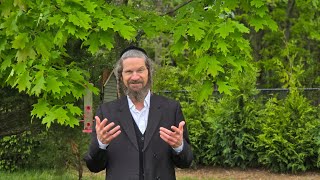 Unlock your full potential with The Possible You! Seminars by the One and Only R' Yom Tov Glaser