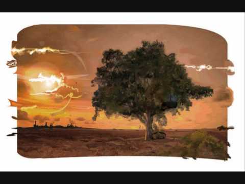 وأشرق الكون بنور محمد فضيلة الشيخ د علي بن حمزة العمري