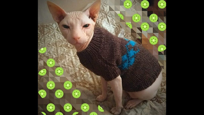 свитер для кошки