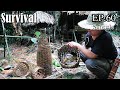 Survival Skills Challenge - Wilderness Alone In Rainforest | EP.60 - Fish Traps & DIY Hats