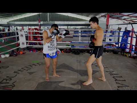 Muay Thai Basics - How to Throw a Muay Thai Teep (Front and Rear)