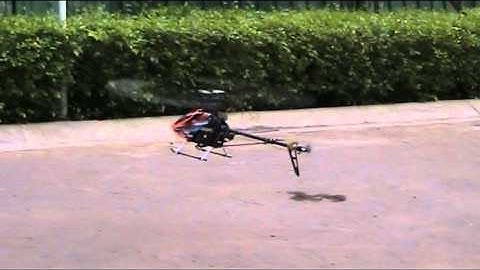 Beginner Second Hover T-Rex 500 Without Instructor