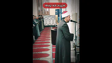 فلنولينك قبلة ترضاها 