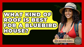 What Kind Of Roof Is Best For A Bluebird House? - Bird Watching Diaries