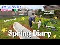 畑に何が起きたの…？🌸春の収穫＆焼きたてパン🍞 What Happened to Our Garden…? Spring Harvest & Fresh Bread!