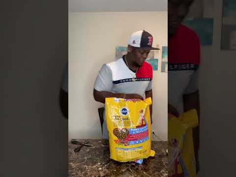 Dog Food Spill