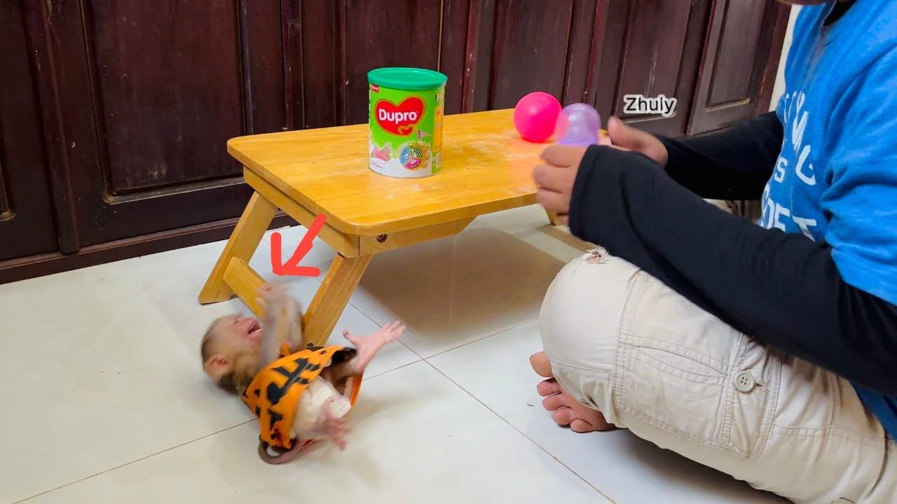 Because Of Hunqry Zhuly Can’t Waitinq For Dad Fixinq Milk