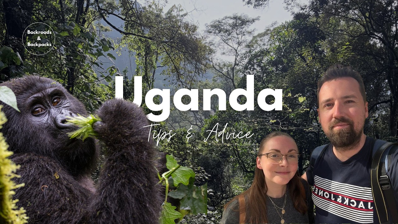 Uganda Travel Tips & Advice | Before You Go + Gorilla & Chimp Trekking Guide