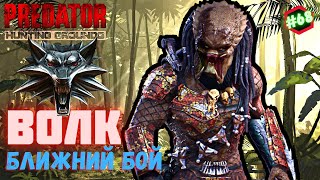 Predator Hunting Grounds ➤ ВОЛК ближний бой ➤ ОХОТА #68 #predator