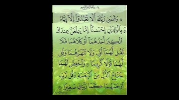سورة الإسراء آيت نمبر 23تا24 تلاوت قرآن كريم سعد أيوب #مشاري_العفاسي #تلاوة_خاشعة #قرآن #تلاوات