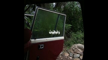 أكتب شيء تؤجر عليه القارئ علي جابر