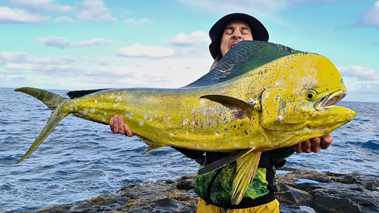 Epic 15kg Mahi Mahi landbased from rocks! (Full Fight) engl