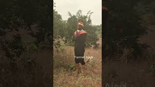 I Shot My Convocation In The Farm.