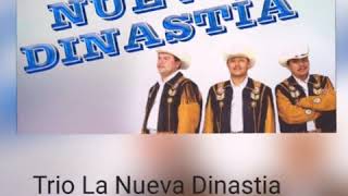 Trio La Nueva Dinastia__ El que se va