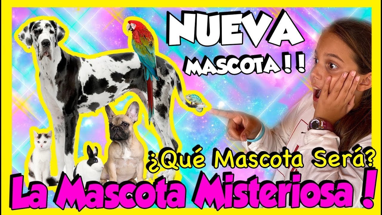 ADOPTO NUEVA MASCOTA REACCION ¿ MASCOTA MISTERIOSA ? LA FAMILIA CRECE  Paula Blanco