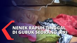 Nenek 80 Tahun Hidup Sendiri di Gubuk Tak Layak Berukuran 2x3 Meter