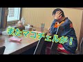ラーメン食べに来たらまたマコチェルに遭遇してしまう 鶏白湯ラーメンとユッケ丼