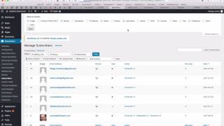 Custom Fields in Subscribers Admin